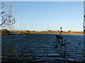 SK9066 : Pylons crossing lake at Whisby Nature Park by PAUL FARMER