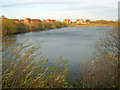 North Muskham Lake Nature Reserve - 2