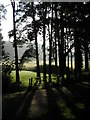 Cemetery at Glanrhyd Hospital