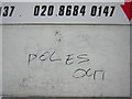 Sign of the times: anti-Polish graffiti in Thornton Heath