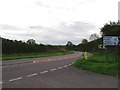 The A339 near Lasham, Hampshire