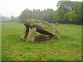 S4117 : Ballyquin Portal Tomb and Standing Stone, near Carrick-on-Suir by ethics girl