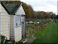 Flowery Fields allotments