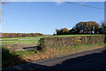 Field off Durley Brook Road