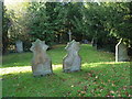 St Andrew, Sherborne St John- churchyard (f)