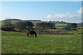 Over the fields at Lochdow to Lower Loch Ken