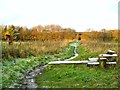 Cycle track under the A19