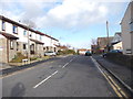 Newton Way - viewed from Springfield Road