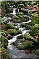 Buckland in the Moor: waterfalls