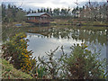 Pond at Mains of Cairnbrogie