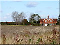 Looking towards Wakelands, near Ringmer