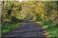 Autumn on The Lake road