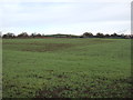 Farmland near Barrowby