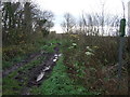 Bridleway (Green Lane) towards Thornton le Beans