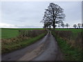 Back Lane towards Maunby