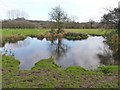 River Itchen Water Meadows