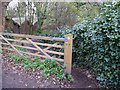 Footpath from Domum Road to the water meadows in Winchester