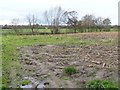 Muddy entrance to stubble field