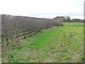 Field hedge reinforced with fencing