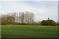 A field of recently planted corn with an old wind powered pump