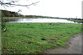 Flooded Gravel Pit near Coldmeece