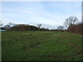 Farmland off the A59