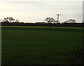 Farmland, Holly House Farm