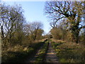 TM2768 : Kings Lane Bridleway & entrance to Downs Farm Bungalow by Geographer