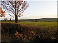 Welton Farmland