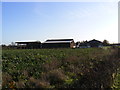 Lane Farm