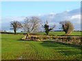 Farmland, Barton