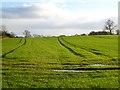 Farmland, North Cowton