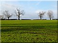 Farmland, North Cowton