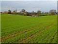 Farmland, South Cowton