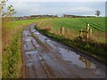 Track and farmland, South Cowton