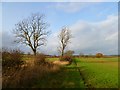 Farmland, South Cowton