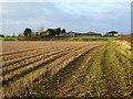 NZ3302 : Farmland, Birkby by Andrew Smith