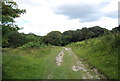 Path across downland