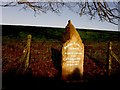 Inscribed stone, Skelgagh