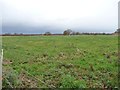 Large field north of Boothbed Farm