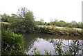 Looking across the Medway