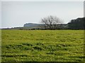 TA0976 : Grassy field above Hill Farm by Christine Johnstone