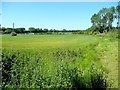 Cleatham farmland