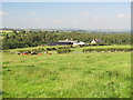 Farmland and woodland around Turf House