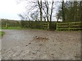 Sussex Border Path meets Ruckmans Lane