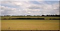 TL4910 : Extensive wheat fields by N Chadwick