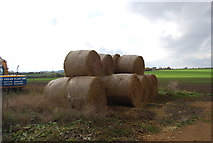 TQ8076 : Hay bales, Ross Farm by N Chadwick