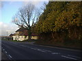 House on Shenleybury