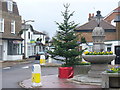 Thames Ditton Christmas Tree