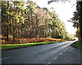 The B1106 road past Basil Williams Covert, Brandon